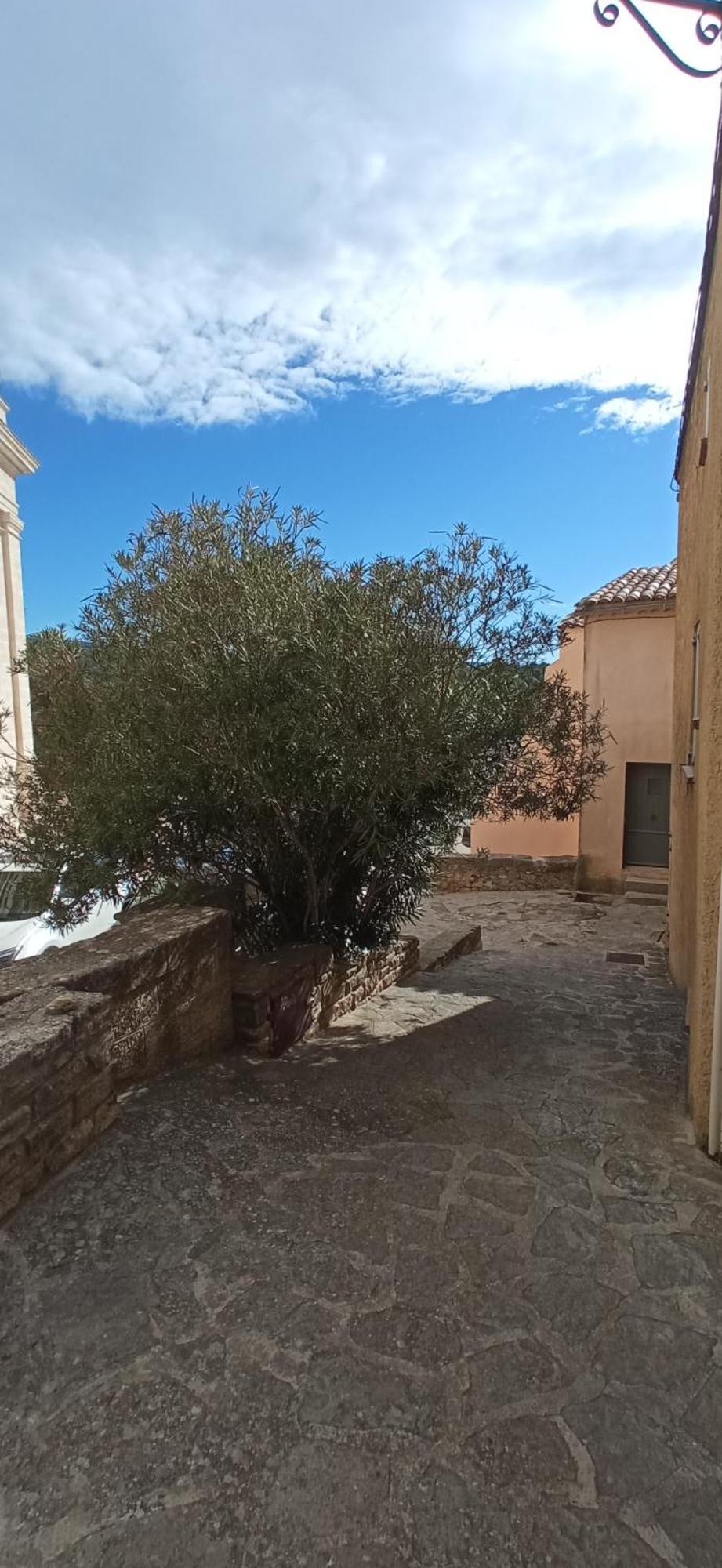 Studio Tout Confort En Provence Mont Ventoux. Bédoin Kültér fotó