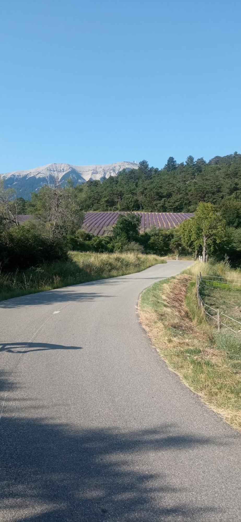 Studio Tout Confort En Provence Mont Ventoux. Bédoin Kültér fotó