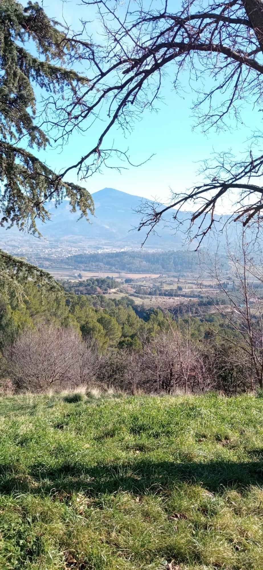 Studio Tout Confort En Provence Mont Ventoux. Bédoin Kültér fotó