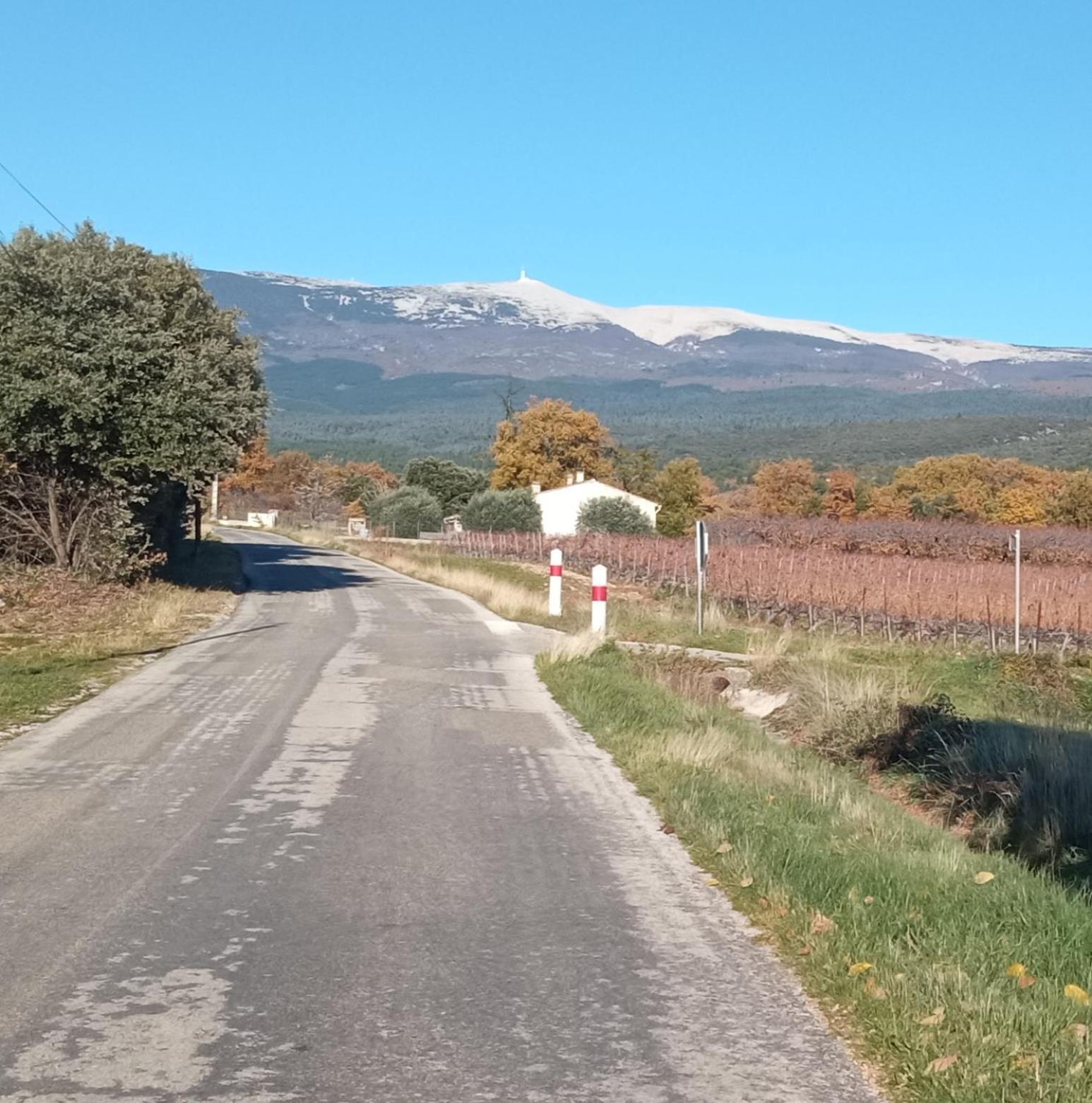 Studio Tout Confort En Provence Mont Ventoux. Bédoin Kültér fotó